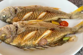 香煎黄脚立做法，现捉现煎，食材越好做法越简单，出锅外相里嫩
