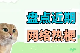 盘点近期网络热梗：对话小猫、宣