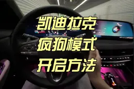 凯迪车主必看！解锁隐藏疯狗模式