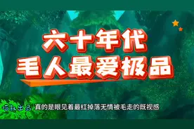 魔兽世界：60年代毛团毛人最爱毛的装备，你被毛过哪些极品呢？