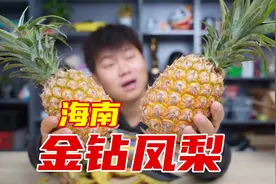 试吃来自海南自然成熟的金钻凤梨，真不是菠萝吗？