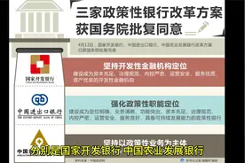 中国三大政策性银行介绍。视频封面