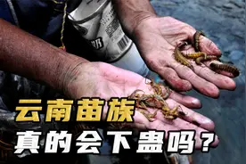 云南蛊虫真实存在，老一辈却闭口不谈？苗疆少女的情蛊有多厉害！视频封面