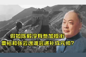 假如陈毅没有参加授衔，华东战区，粟裕和张云逸谁能递补成元帅？视频封面