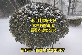 正月打雷好不好？究竟有啥说法，看看农谚怎么说视频封面