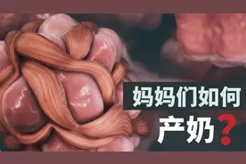 【3D系列】母乳是如何产生的？视频封面