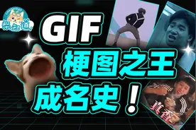 制霸表情包！GIF是如何成为梗图之王的？