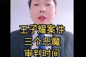 330C66王子耀被害案件三个恶魔审判我们期待满意结果！视频封面