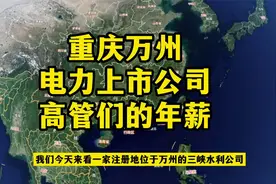 重庆万州这家电力上市公司高管们的年薪，秒杀绝大多数工薪阶层！视频封面