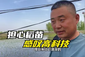 农民王小：担心新插稻苗长势，飞机运苗感叹发展，稻农的辛苦视频封面