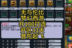 无与伦比梦幻西游5龙宫渡劫路开区第33天开100打造了