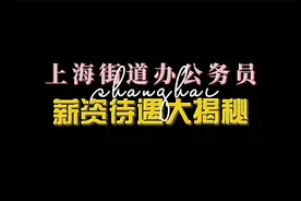 上海街道办四级主任科员薪资待遇视频封面