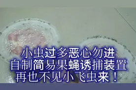 小虫过多恶心勿进
自制简易果蝇诱捕装置
再也不见小飞虫来！视频封面