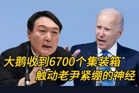 搞笑配音  大鹅收到6700个集装箱，触动老尹紧绷的神经！视频封面