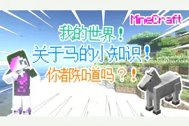 我的世界这些关于马的小知识你都知道吗？