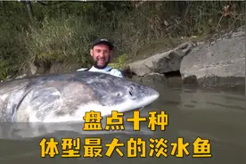 盘点十种体型最大的淡水鱼