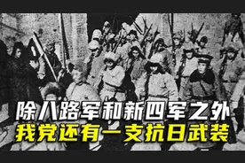 除八路军和新四军之外，我党还有一支抗日武装，兵力可达11个军