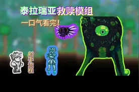 一口气看完泰拉瑞亚救赎模组！