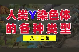 Y染色体的各种类型，你知道多少？ #染色体 #基因 #人种