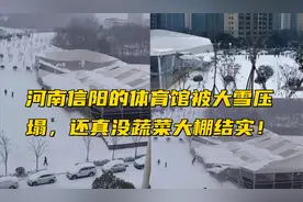 河南信阳的体育馆被大雪压塌，还真没蔬菜大棚结实！