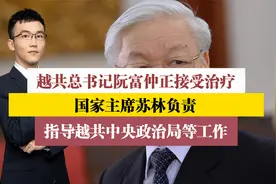 越共总书记阮富仲接受治疗！国家主席苏林担起重任，指导多项工作