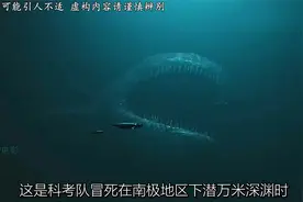 盘点深海那些令人不安的未知巨兽 #恐怖 #惊悚悬疑 #猎奇
