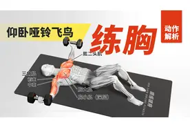 仰卧哑铃飞鸟：哑铃练胸，针对胸大肌和胸小肌的力量训练动作视频封面