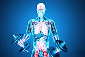 人类力量的极限在哪里？理论上我们能够举起多重的物体