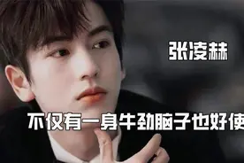 第一次直观感受理工男魅力，红豆生南国张凌赫是男模，智性恋顶峰视频封面