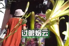 343《过眼烟云》编辑制作沈达声