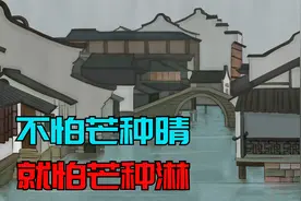 “不怕芒种晴，就怕芒种淋”，芒种将至，为啥怕淋雨？看农谚咋说视频封面