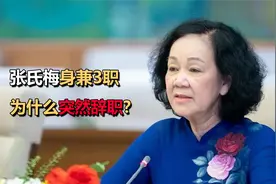 越南5号人物张氏梅，任越共中央常务书记，为什么突然辞职？