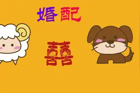 生肖羊和生肖狗的婚配好吗？视频给你分析视频封面