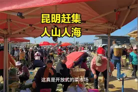 又到昆明赶集日，看看最大的集市都有些什么视频封面