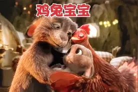 兔子和母鸡的结合，生出了一只可以下蛋的小兔子视频封面