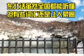 东北话虽然全国都能听懂，但有些词汇还是另人蒙圈。