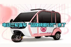 电动三轮篷车“品牌榜前5名”来了，上牌有资质，可以“闭眼入”