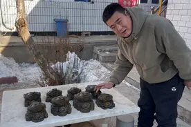 老七大师再次出手，金钱石雕刻8个金蟾，栩栩如生绝了视频封面