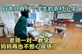 日本只有8个学生的农村小学，老师一对一服务，你知道学生多开心视频封面