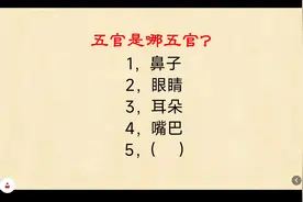 我们平常说的五官指的是鼻子，眼睛，耳朵，嘴巴和眉毛，有高手么