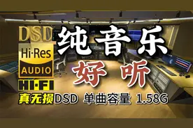 粉丝点播：好听的纯音乐，DSD完整版，单曲1.58G视频封面