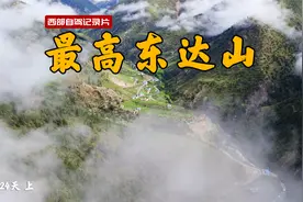 东达山上5元的雪莲花？摘了国家二级保护植物？视频封面