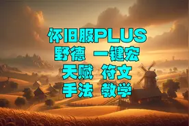 魔兽世界怀旧服觉醒PLUS野德一键宏天赋符文手法输出教学
