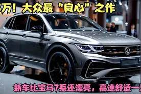 13万！大众最“良心”之作，新车比宝马7系还漂亮，高速舒适一流视频封面