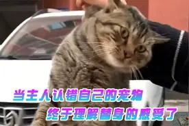 当主人认错自己的爱宠，大爷送小狗去洗澡，结果洗完就认不出了视频封面