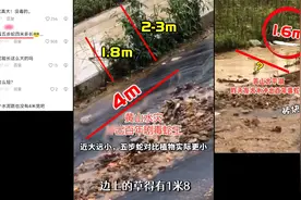 黄山太平湖号称4米30斤的百年五步蛇？龙雅分析真实长度直接打脸