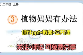 小学语文二年级上册《植物妈妈有办法》课件ppt+教案公开课免费享