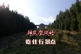 细数神农架六大景区三个小镇，吃住玩合理安排，神农架自驾攻略下