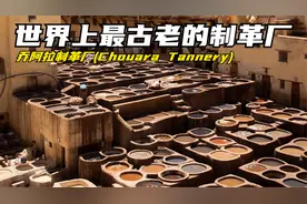 世界上最古老的皮革制作工厂-摩洛哥乔阿拉制革厂Chouara Tannery视频封面