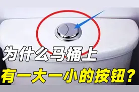 切记别瞎按了！为什么马桶上有一大一小的按钮？今天终于明白了